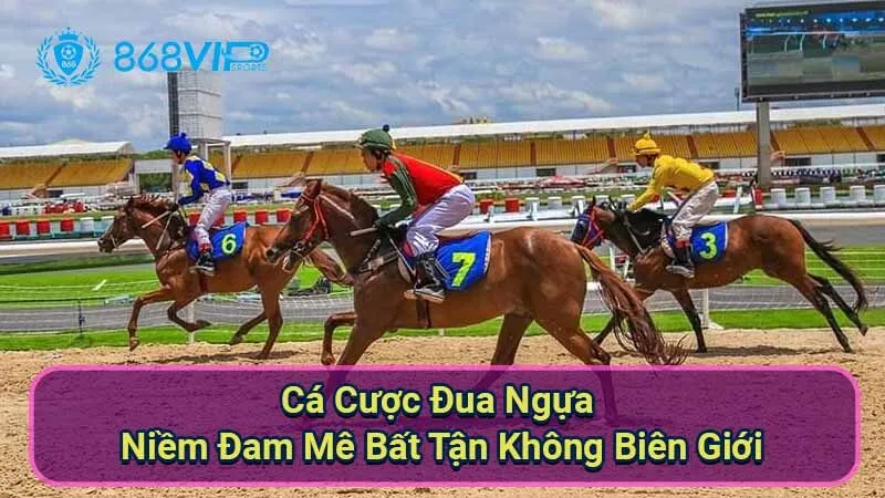 Cá Cược Đua Ngựa - Niềm Đam Mê Bất Tận Không Biên Giới 1 ca-cuoc-dua-ngua